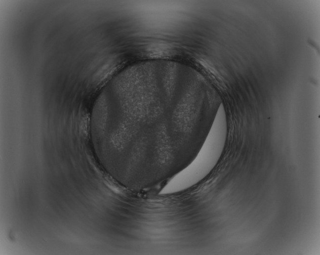 X0000092040325200710101002