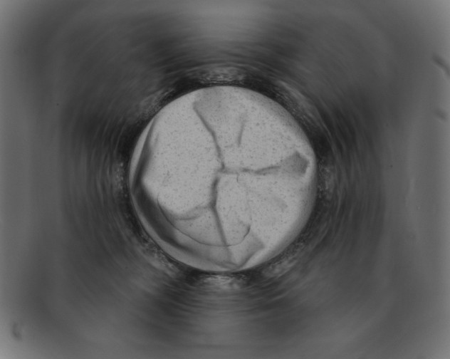 X0000092040326200710101002