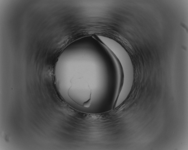 X0000092040329200710101002