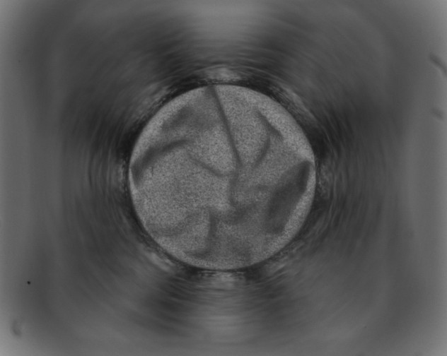 X0000092040330200710101002