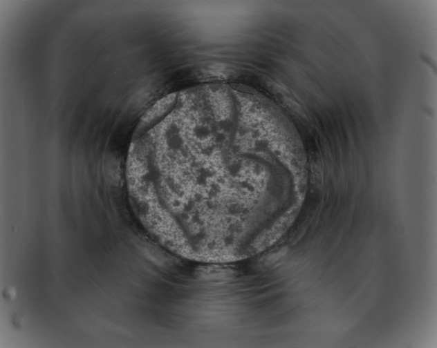 X0000092040331200710101002