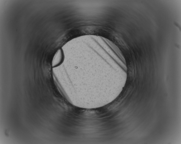 X0000092040332200710101002