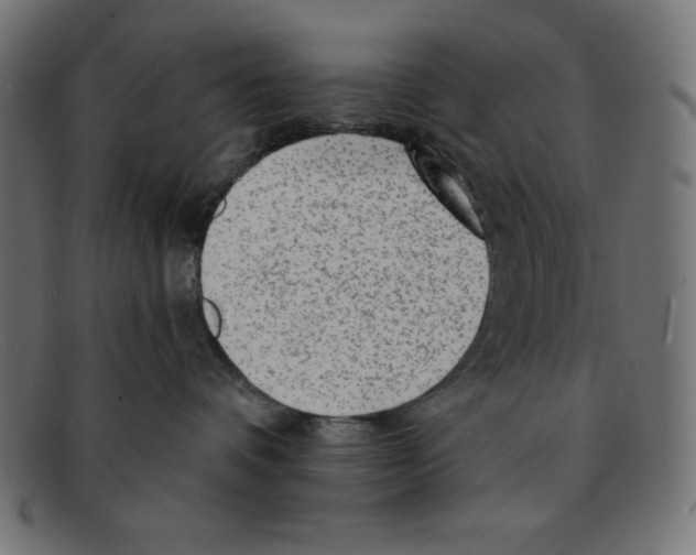 X0000092040336200710101002