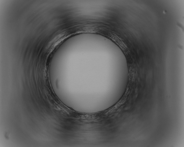 X0000092040338200710101001