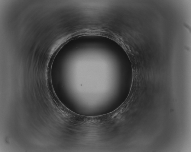 X0000092040340200710101001