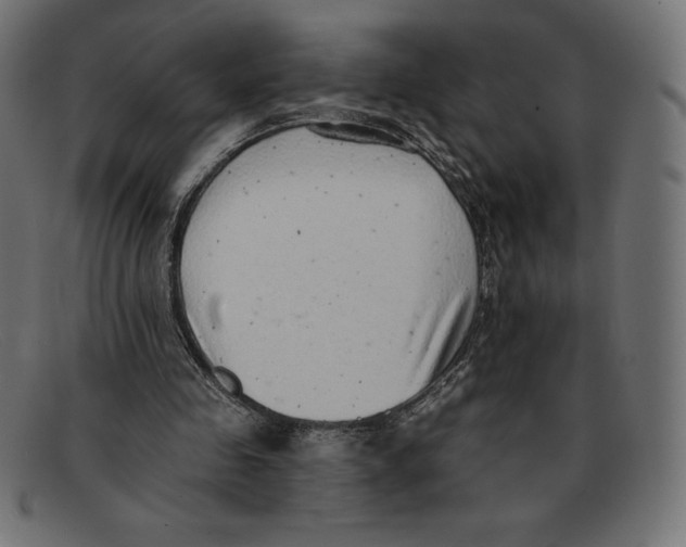 X0000092040341200710101001