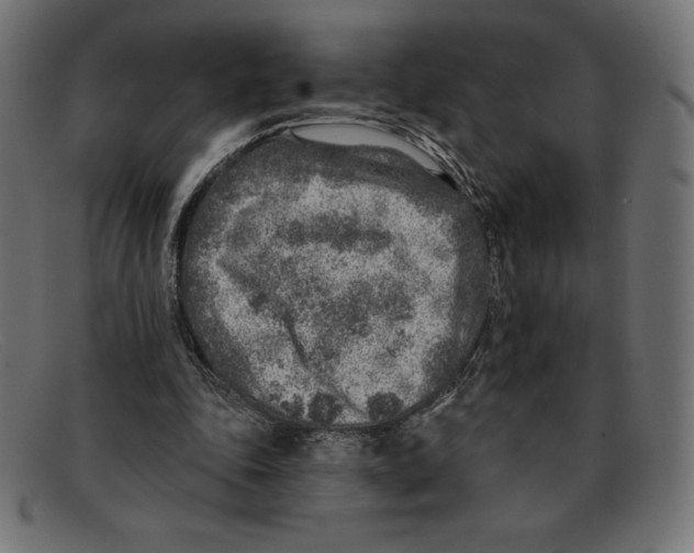 X0000092040343200710101001