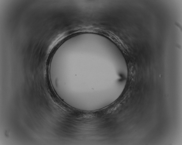 X0000092040344200710101001