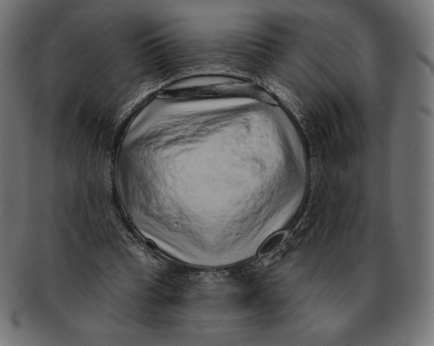 X0000092040345200710101001