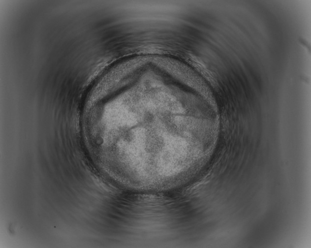 X0000092040347200710101001