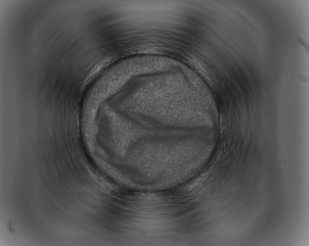 X0000092040349200710101001