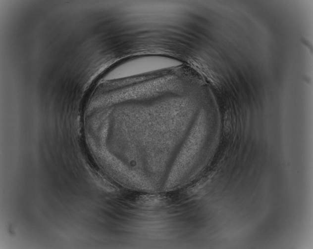 X0000092040351200710101001