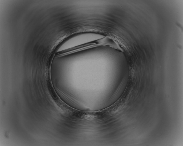 X0000092040352200710101001