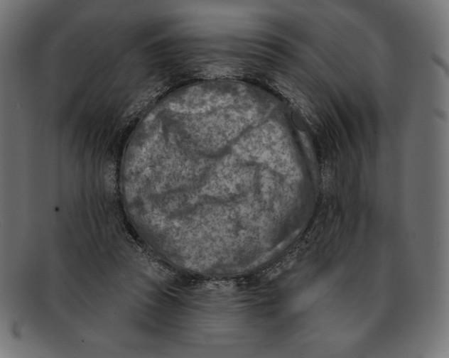 X0000092040353200710101001