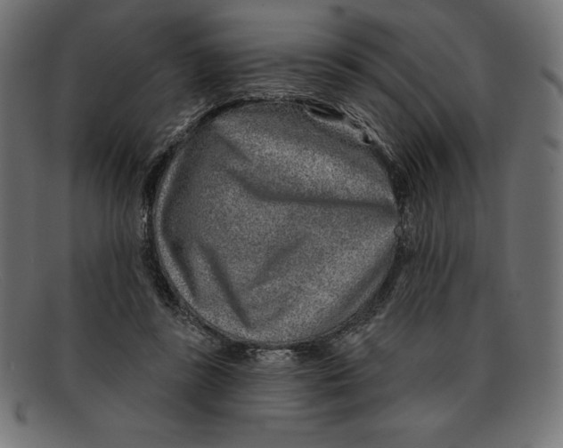 X0000092040355200710101001