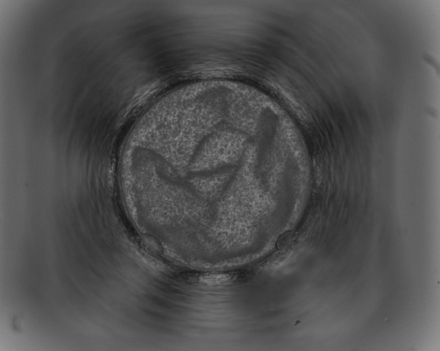 X0000092040357200710101001