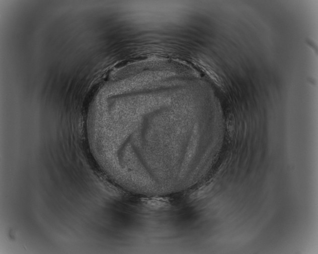 X0000092040359200710101001