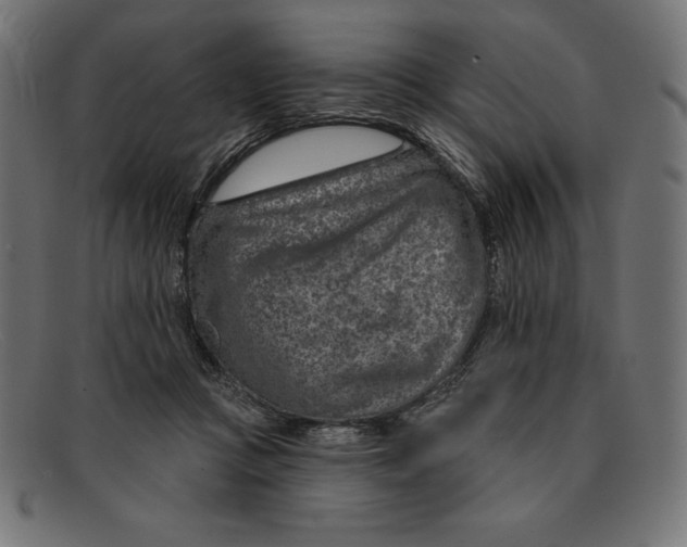 X0000092040361200710101002