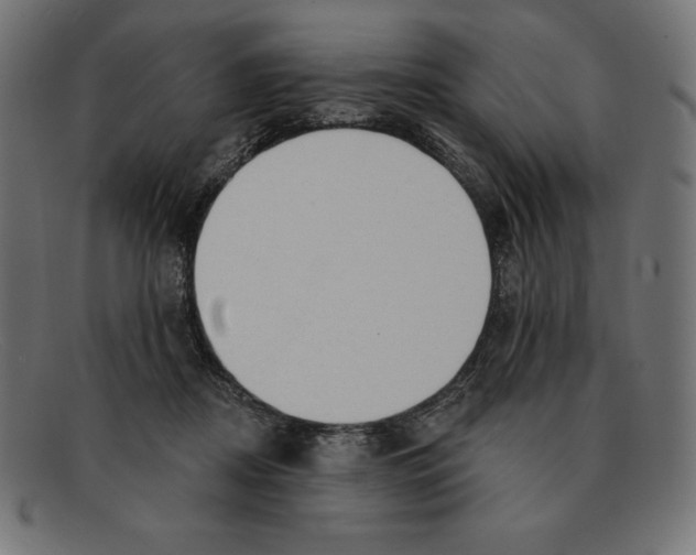 X0000092040362200710101002