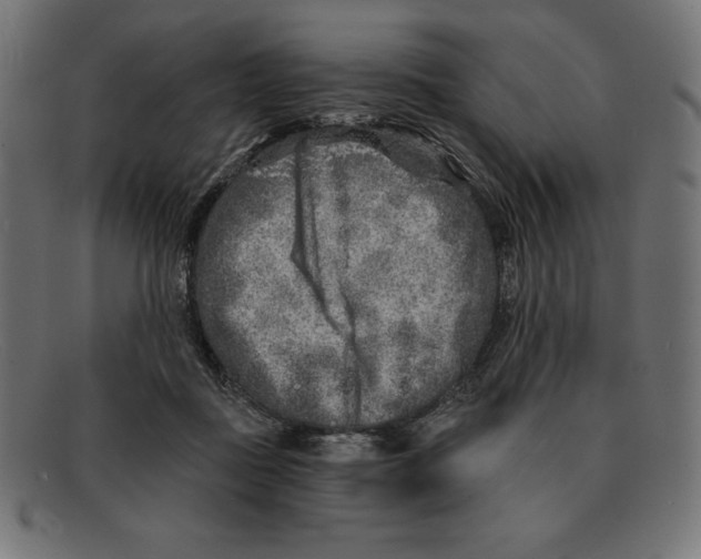 X0000092040363200710101002