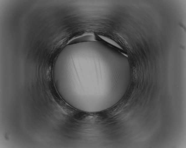 X0000092040364200710101002