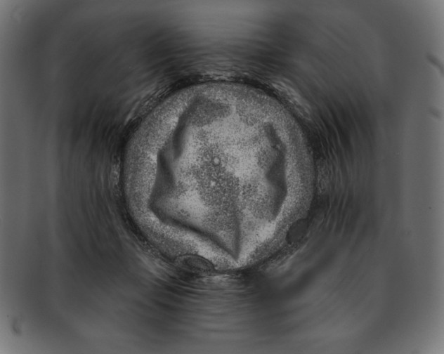 X0000092040365200710101002