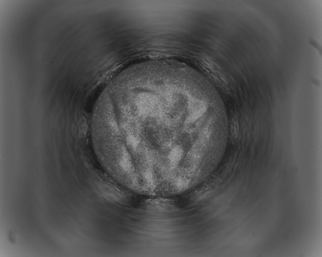 X0000092040367200710101002