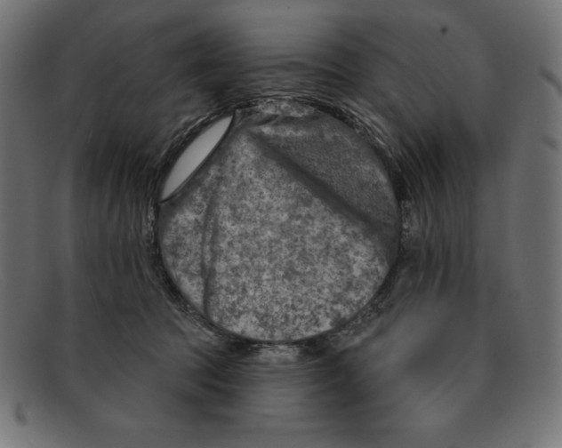 X0000092040369200710101002