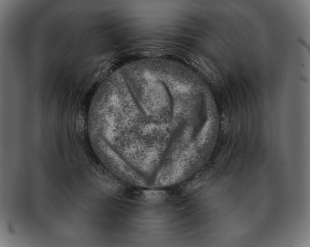 X0000092040371200710101002