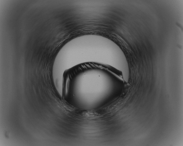 X0000092040372200710101002