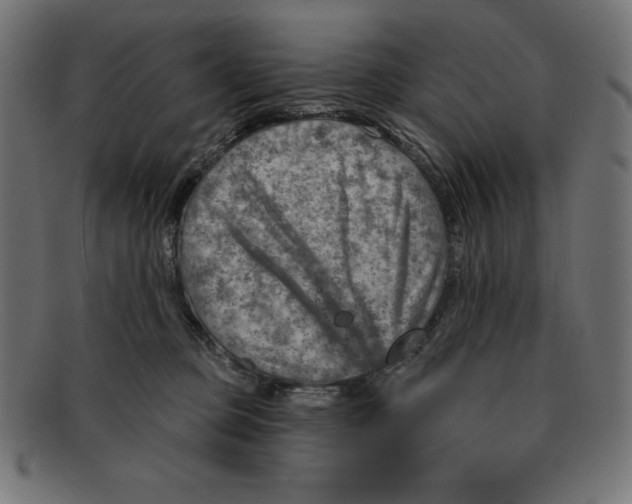 X0000092040373200710101002