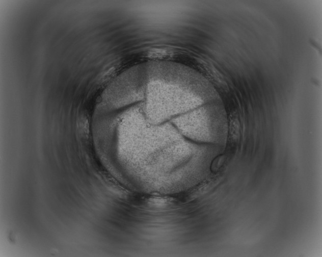 X0000092040375200710101002