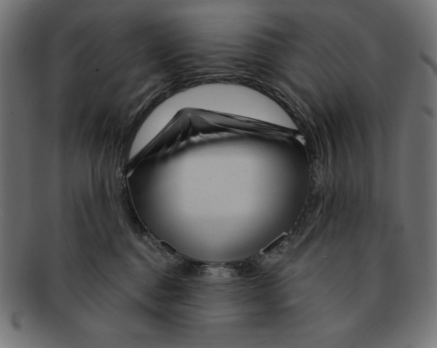 X0000092040376200710101002