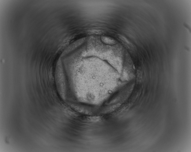 X0000092040377200710101002