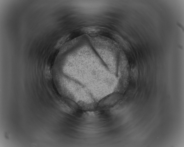 X0000092040381200710101002