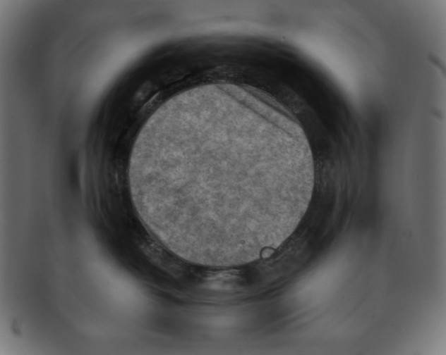 X0000092040382200710101002