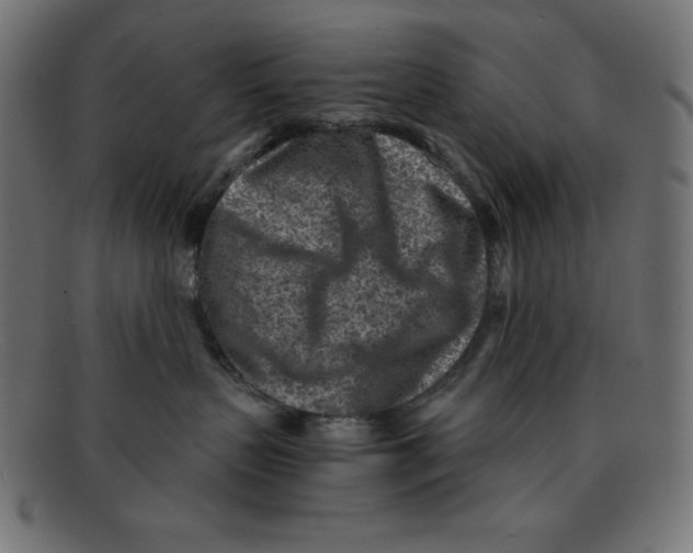 X0000092040383200710101002