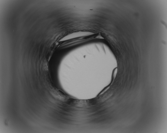 X0000092040384200710101002