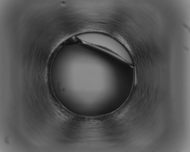 X0000092040387200710101001