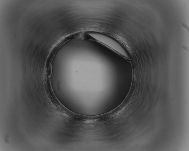 X0000092040388200710101001