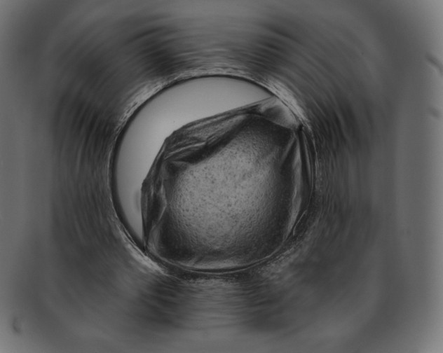 X0000092040389200710101001