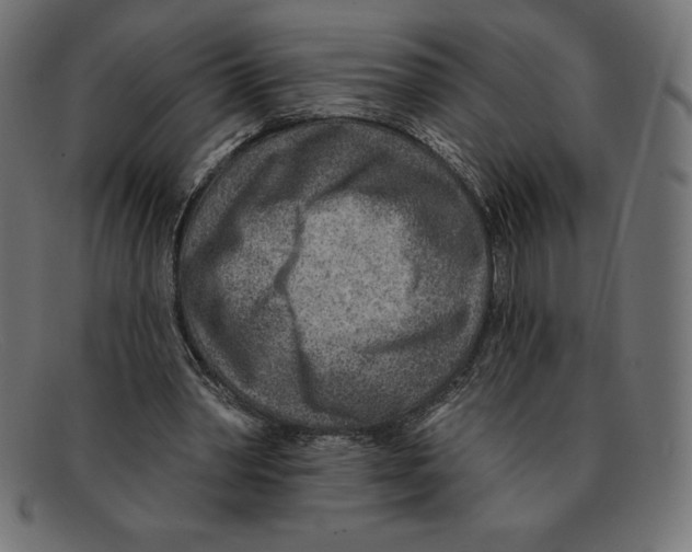 X0000092040390200710101001