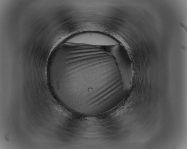 X0000092040391200710101001