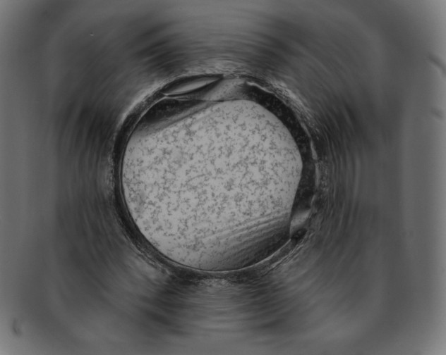 X0000092040392200710101001