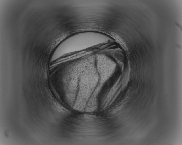 X0000092040393200710101001