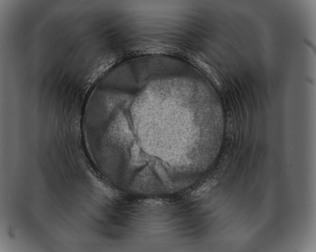 X0000092040394200710101001