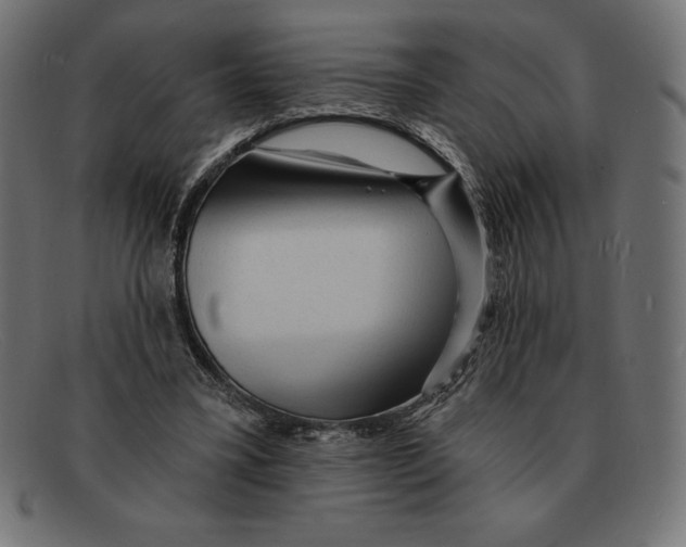 X0000092040395200710101001