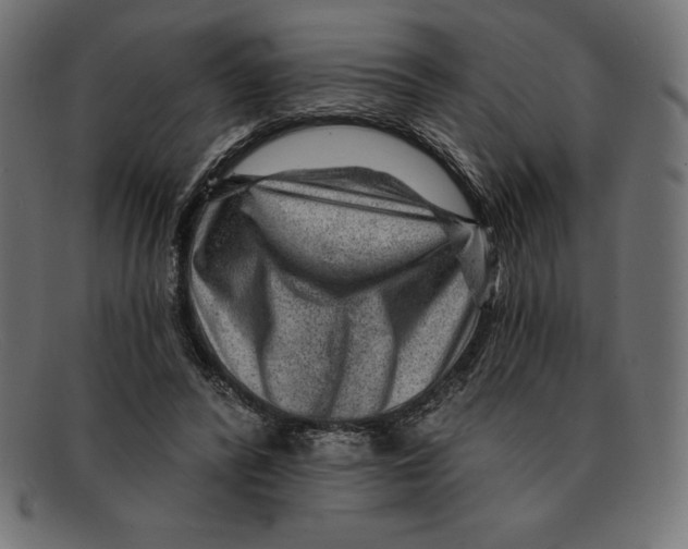 X0000092040400200710101001