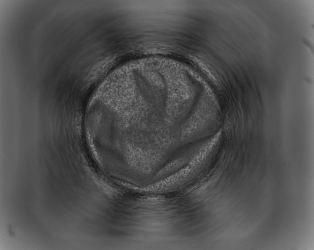 X0000092040402200710101001