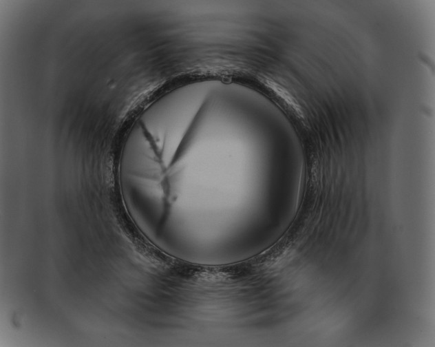 X0000092040403200710101001